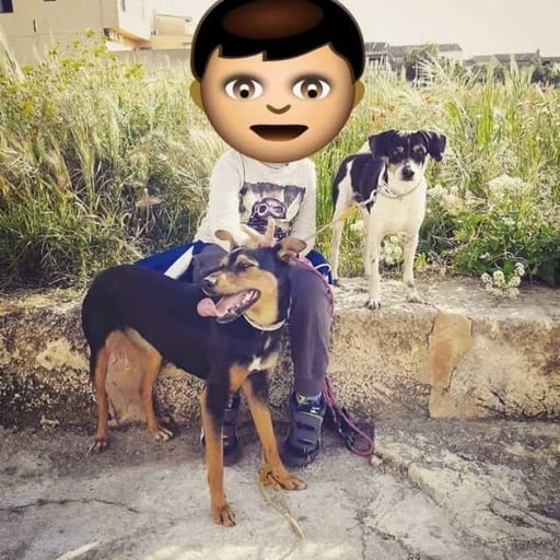 Bady y noa, en adopción