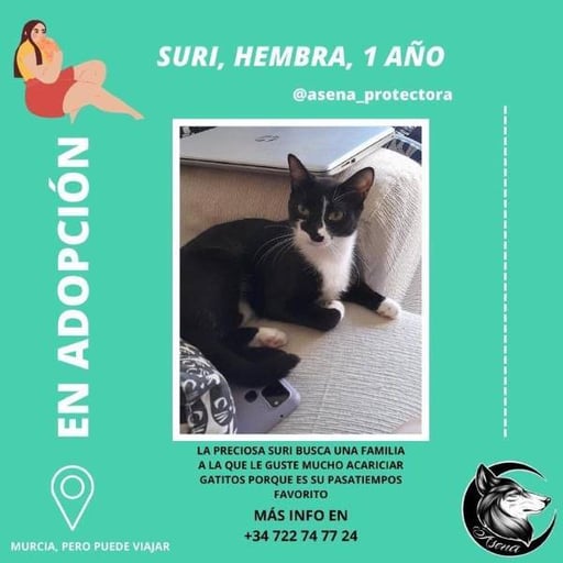 Suri, en adopción