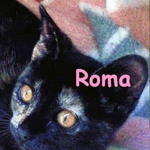 Roma, en adopción